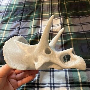 Triceratops Skull Plastic Planter